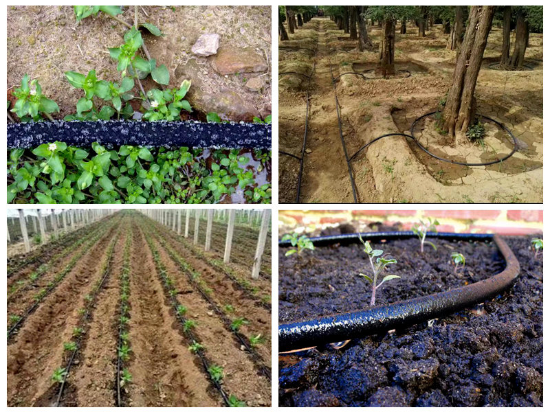 ربڑ کی سوکر نلی آبپاشی کے لیے کیسے استعمال ہوتی ہے؟